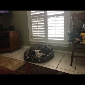 Meet your Posher, Mara